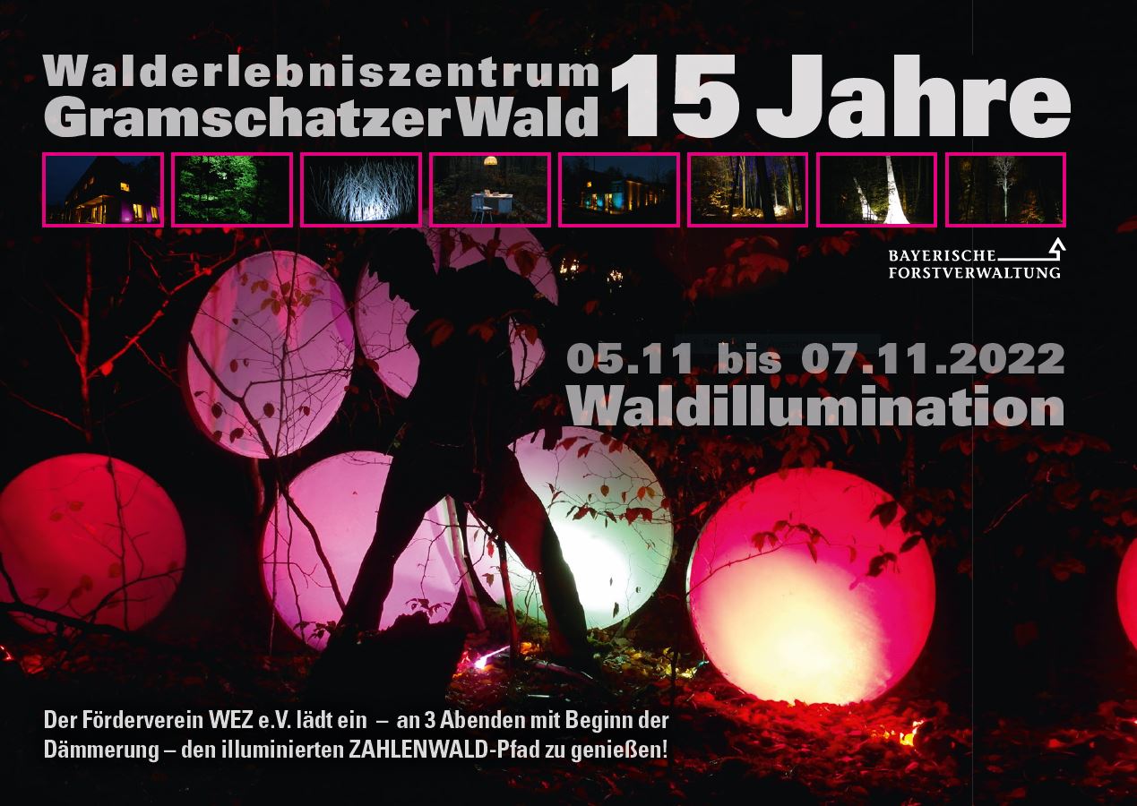 Waldillumination im Zahlenwald