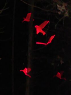 Waldillumination zum 15-jährigen Bestehen des Walderlebniszentrums Gramschatzer Wald